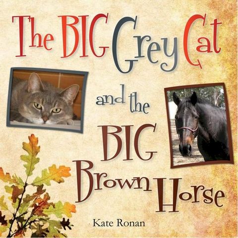 The Big Grey Cat and The Big Brown Horse(Kobo/電子書)