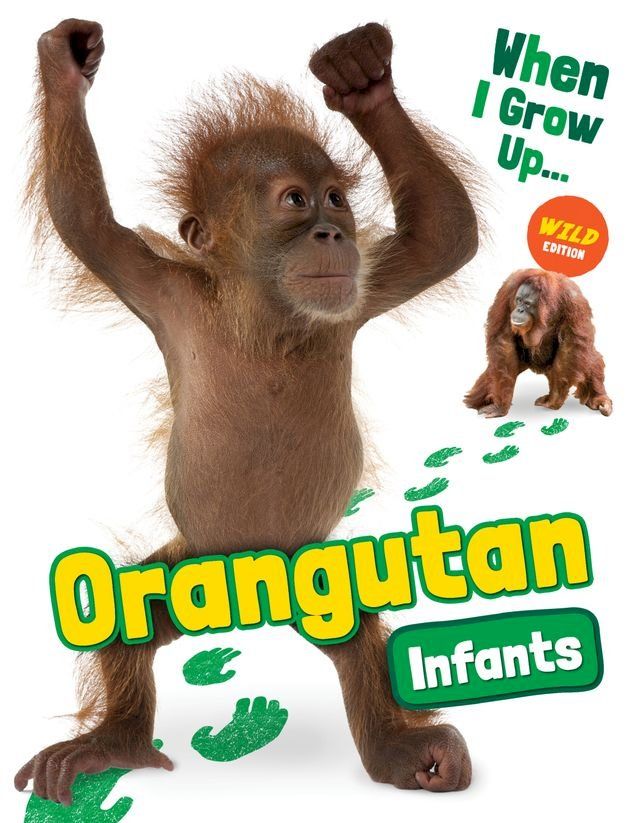  Orangutan Infants(Kobo/電子書)