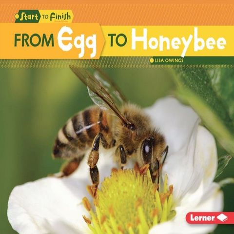 From Egg to Honeybee(Kobo/電子書)