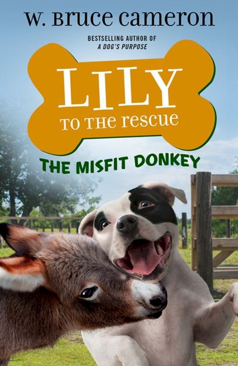 Lily to the Rescue: The Misfit Donkey(Kobo/電子書)