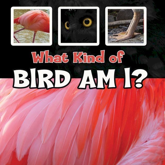  What Kind of Bird Am I?(Kobo/電子書)