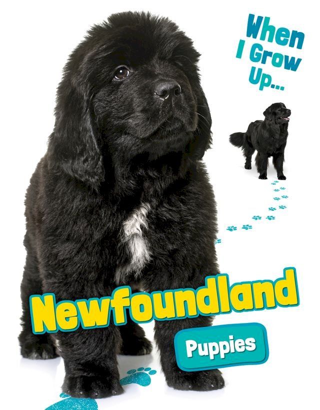  Newfoundland Puppies(Kobo/電子書)