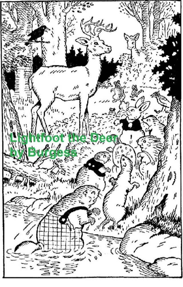  Lightfoot the Deer, Illustrated(Kobo/電子書)