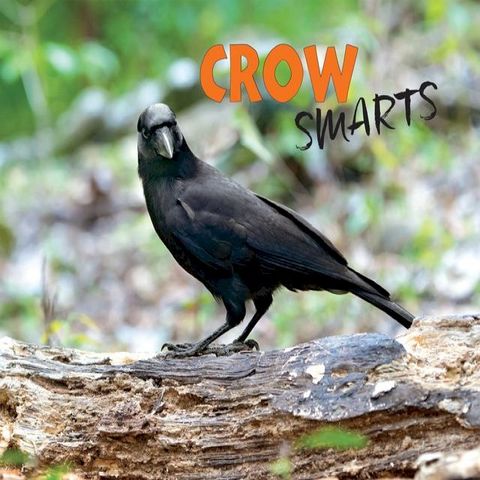 Crow Smarts(Kobo/電子書)