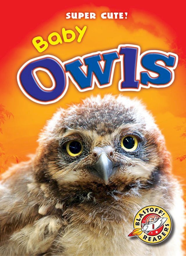  Baby Owls(Kobo/電子書)