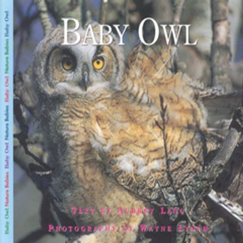 Baby Owl(Kobo/電子書)