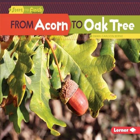 From Acorn to Oak Tree(Kobo/電子書)