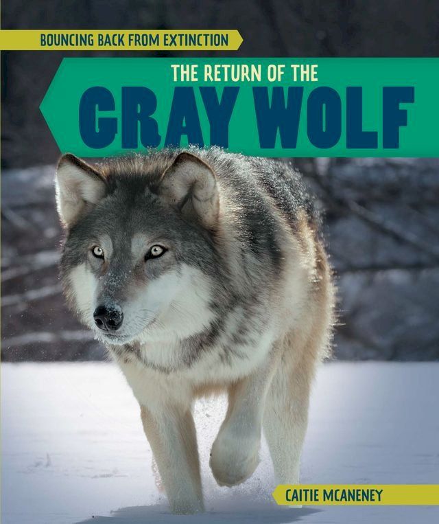  The Return of the Gray Wolf(Kobo/電子書)