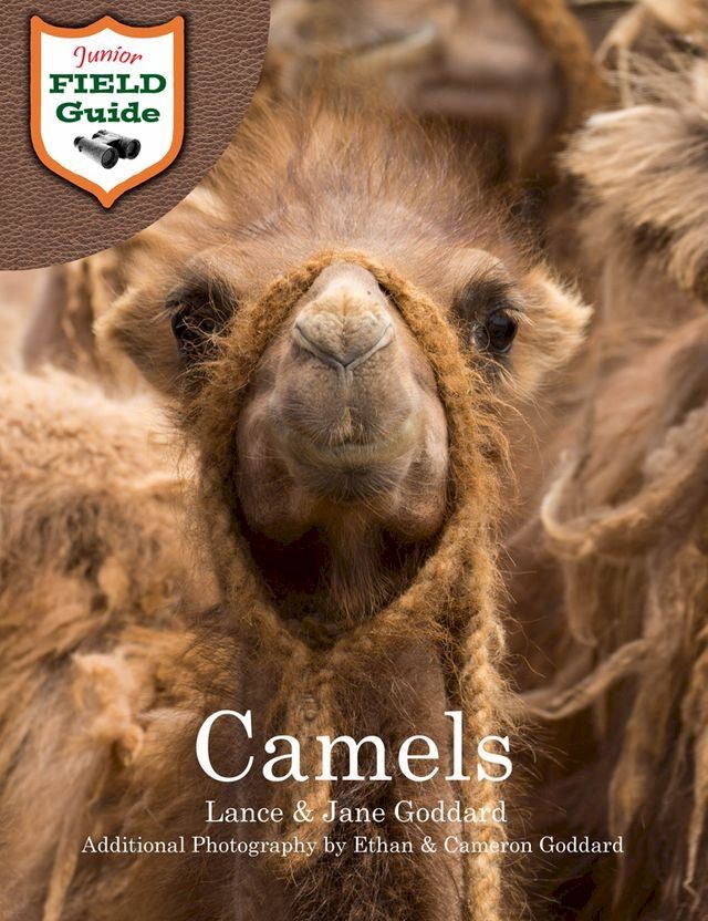  Camels(Kobo/電子書)