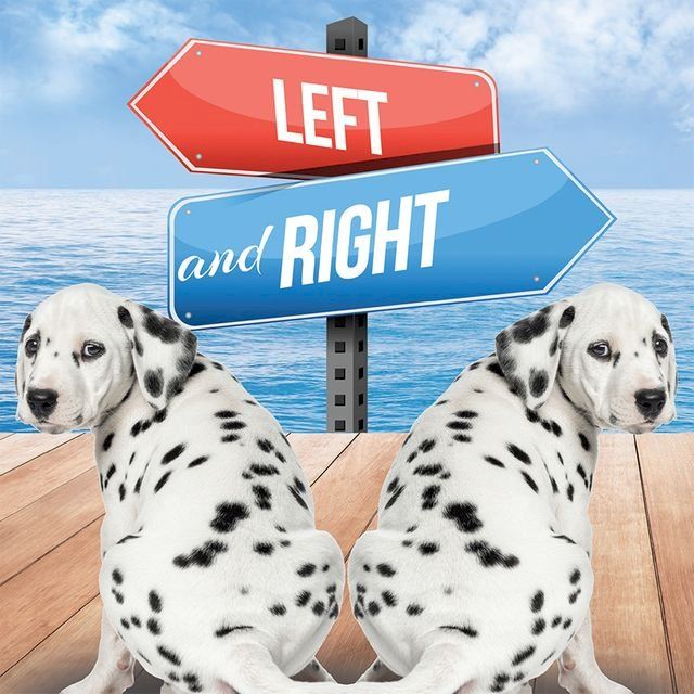  Left and Right(Kobo/電子書)