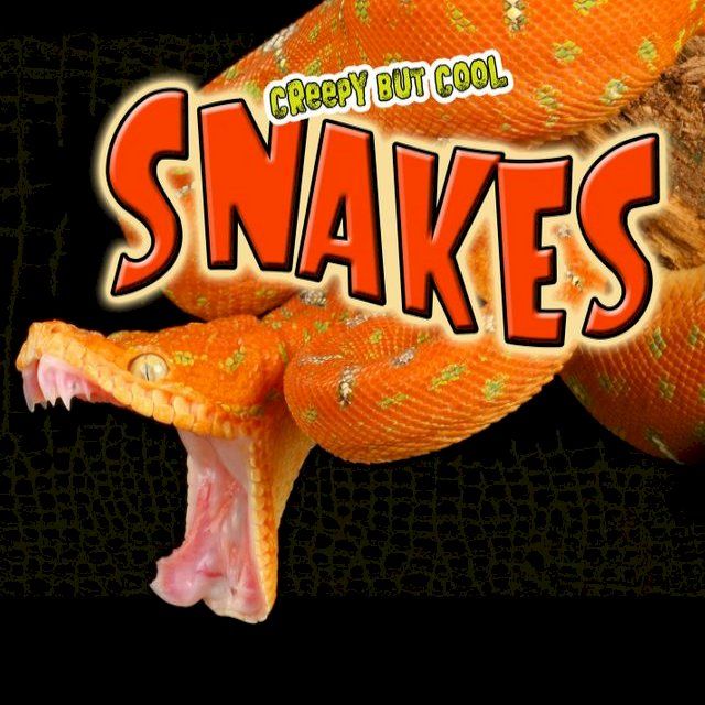  Creepy But Cool Snakes(Kobo/電子書)