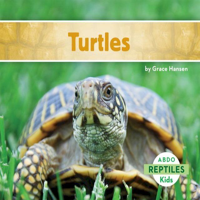  Turtles(Kobo/電子書)