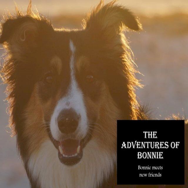  The Adventures of Bonnie(Kobo/電子書)