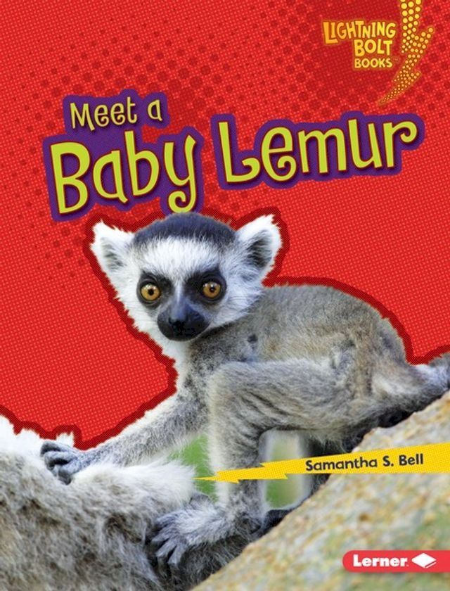  Meet a Baby Lemur(Kobo/電子書)