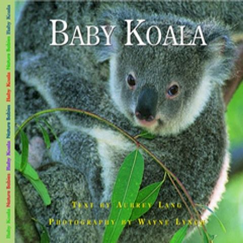 Baby Koala(Kobo/電子書)