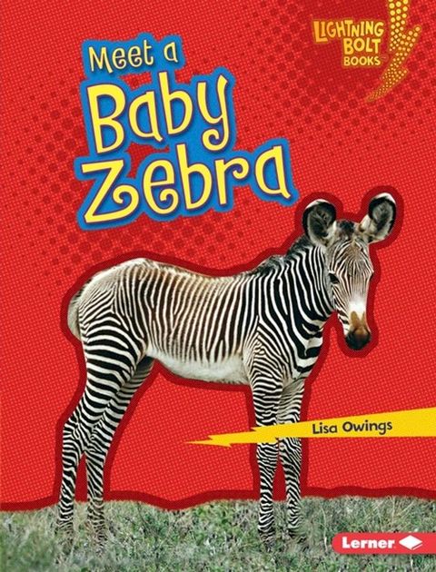 Meet a Baby Zebra(Kobo/電子書)