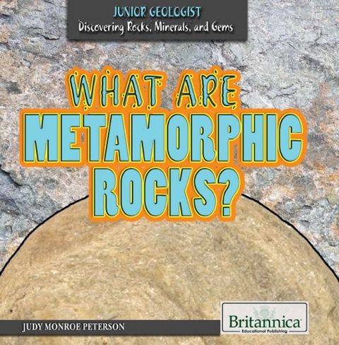 What Are Metamorphic Rocks?(Kobo/電子書)