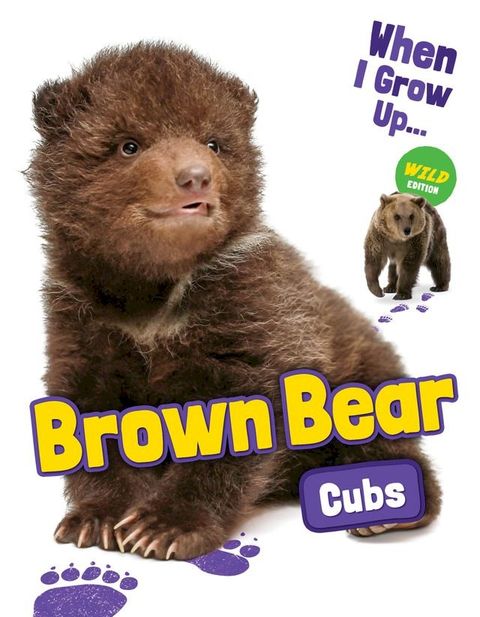 Brown Bear Cubs(Kobo/電子書)