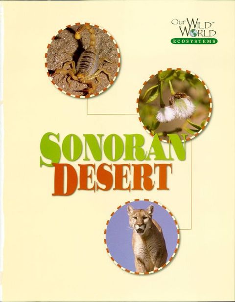 The Sonoran Desert(Kobo/電子書)