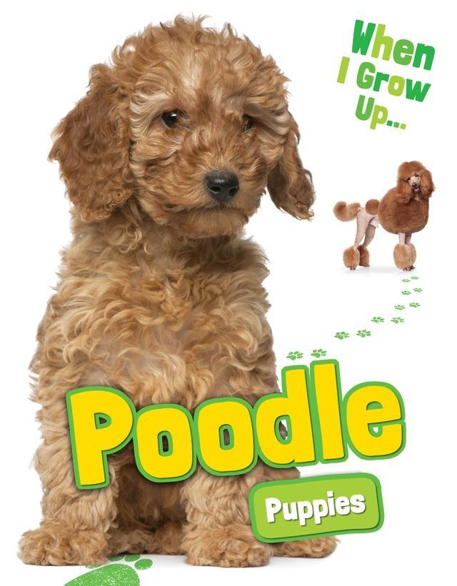  Poodle Puppies(Kobo/電子書)