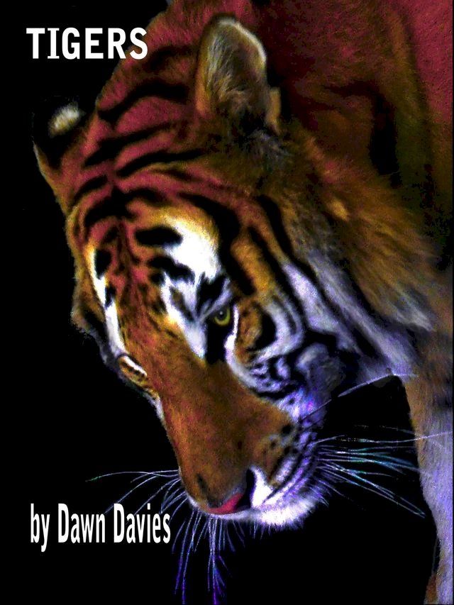  Tigers(Kobo/電子書)