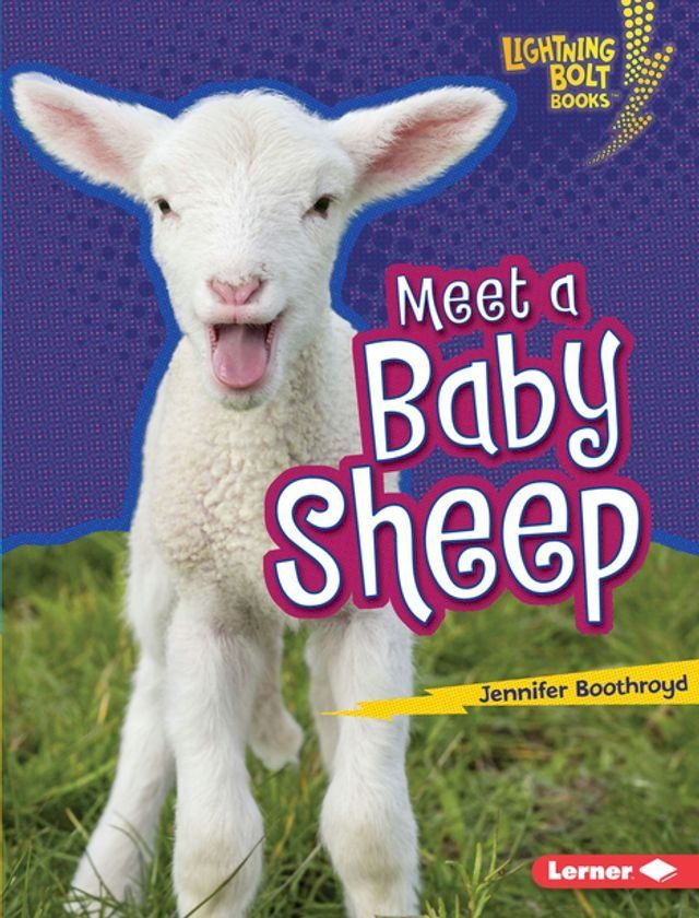  Meet a Baby Sheep(Kobo/電子書)