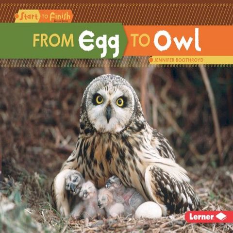 From Egg to Owl(Kobo/電子書)