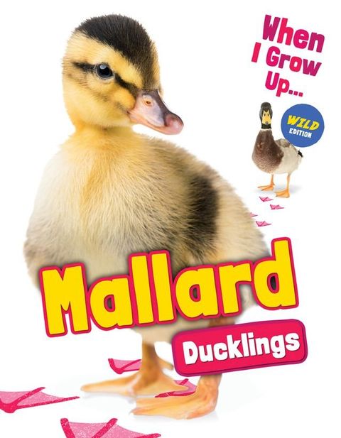 Mallard Ducklings(Kobo/電子書)