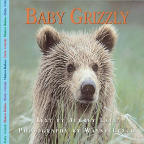 Baby Grizzly(Kobo/電子書)