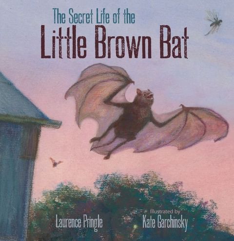 The Secret Life of the Little Brown Bat(Kobo/電子書)