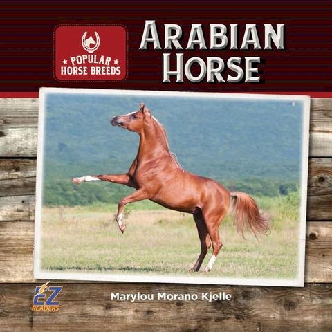 Arabian Horse(Kobo/電子書)