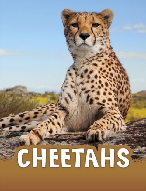 Cheetahs(Kobo/電子書)