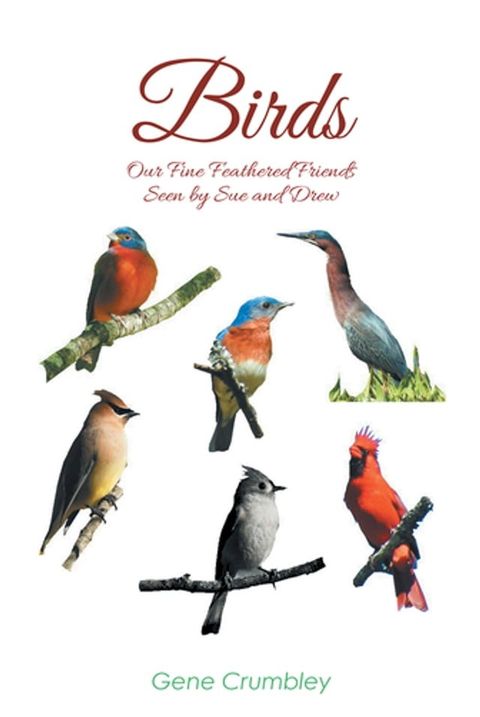 Birds: Our Fine Feathered Friends: Seen by Sue and Drew(Kobo/電子書)