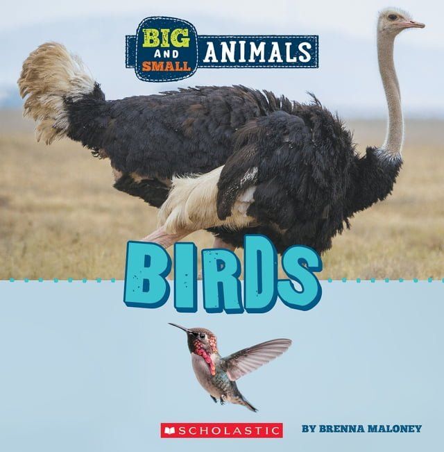  Birds (Wild World: Big and Small Animals)(Kobo/電子書)