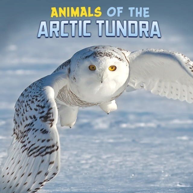  Animals of the Arctic Tundra(Kobo/電子書)