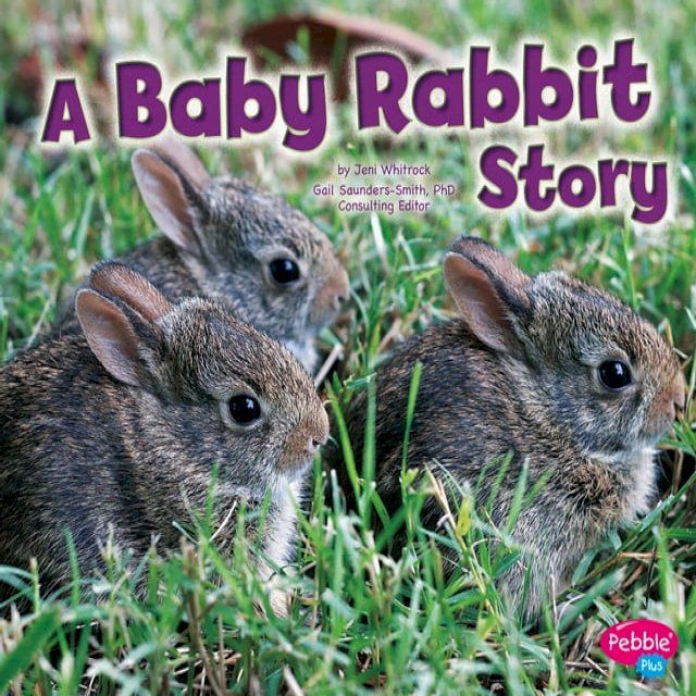  A Baby Rabbit Story(Kobo/電子書)