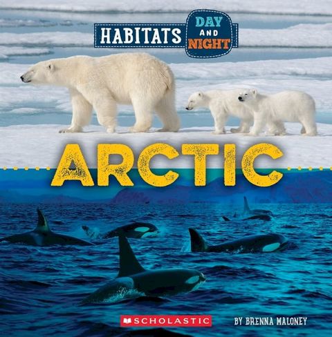 Arctic (Wild World: Habitats Day and Night)(Kobo/電子書)