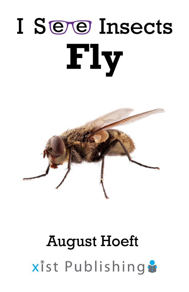  Fly(Kobo/電子書)