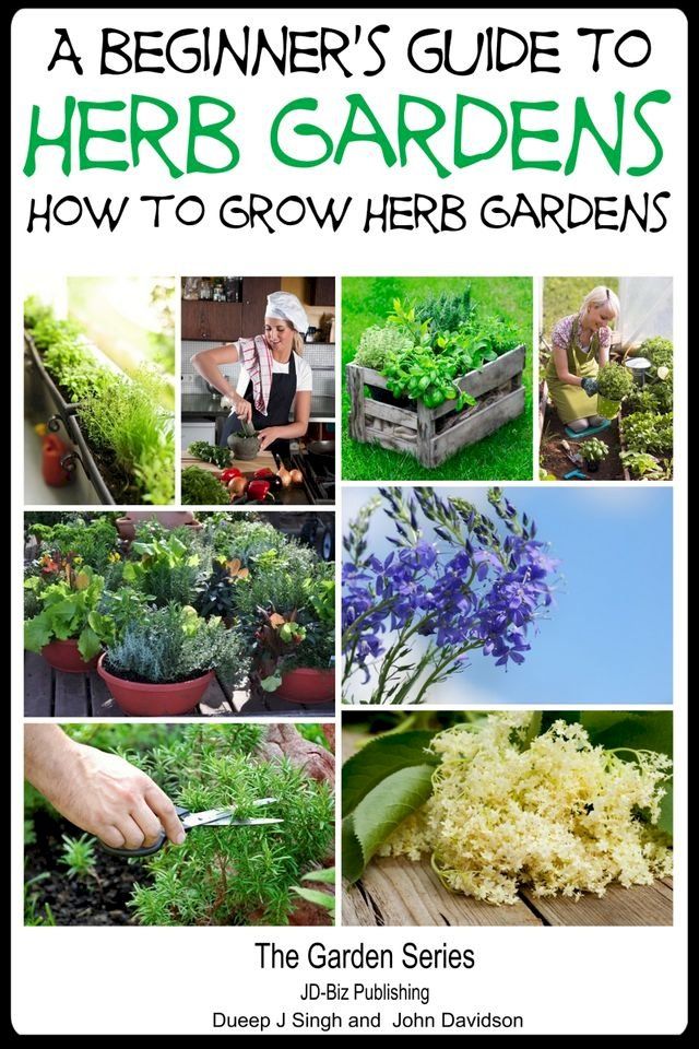  A Beginner’s Guide to Herb Gardening: How to Grow Herb Gardens(Kobo/電子書)