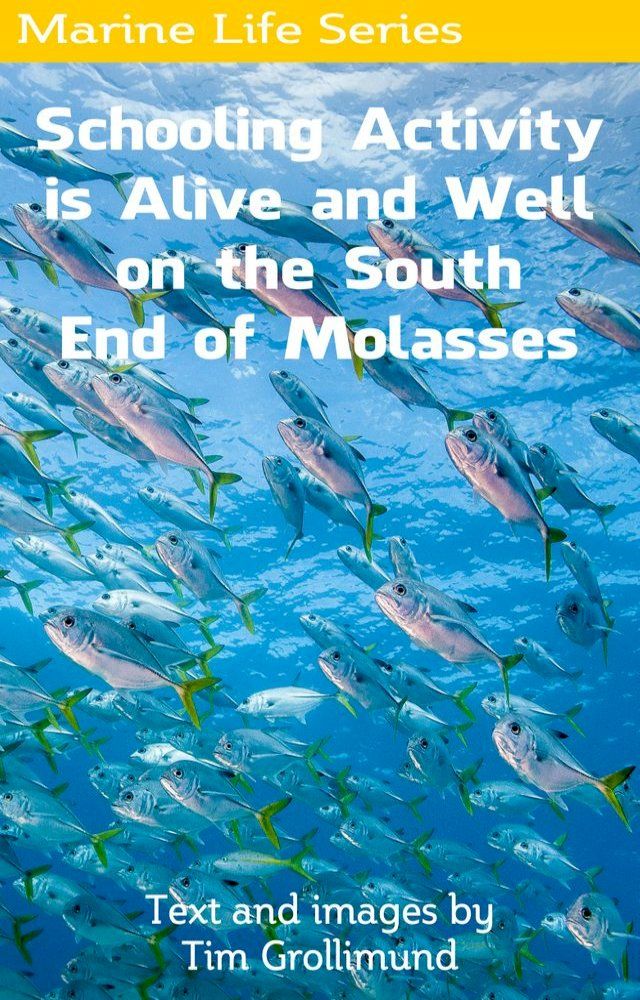  Schooling Activity is Alive and Well on the South End of Molasses(Kobo/電子書)