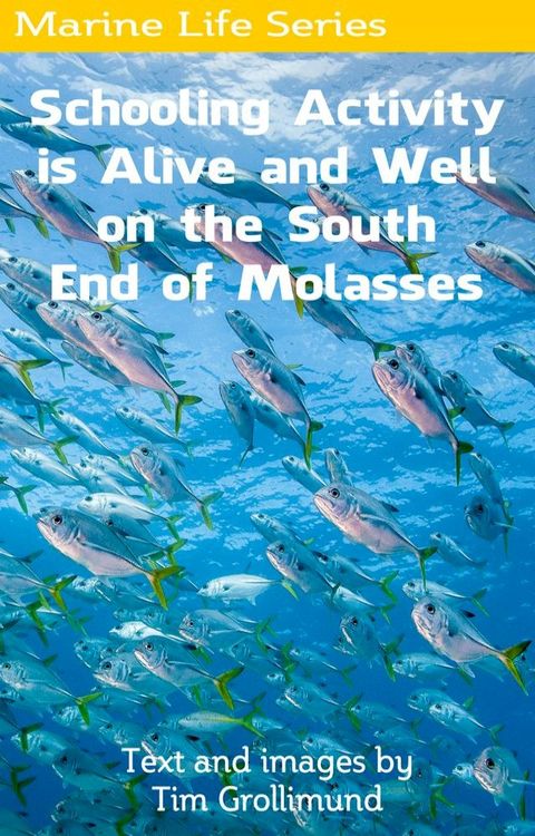 Schooling Activity is Alive and Well on the South End of Molasses(Kobo/電子書)