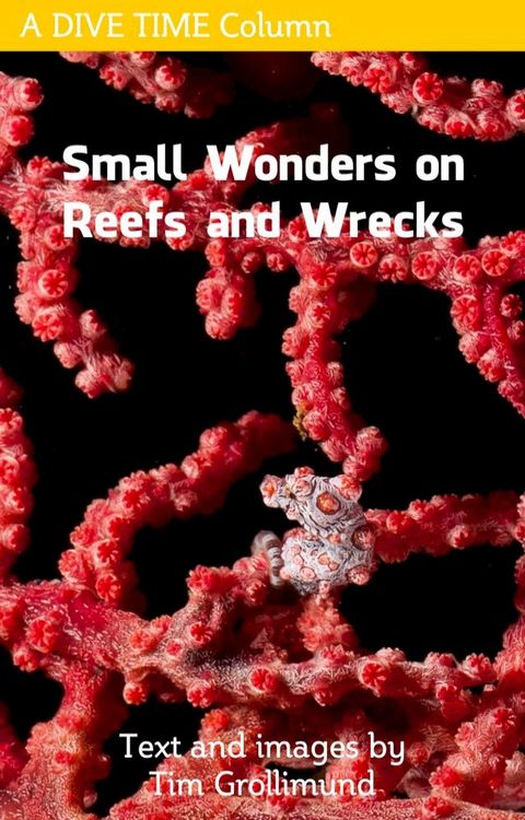 Small Wonders on Reefs and Wrecks(Kobo/電子書)