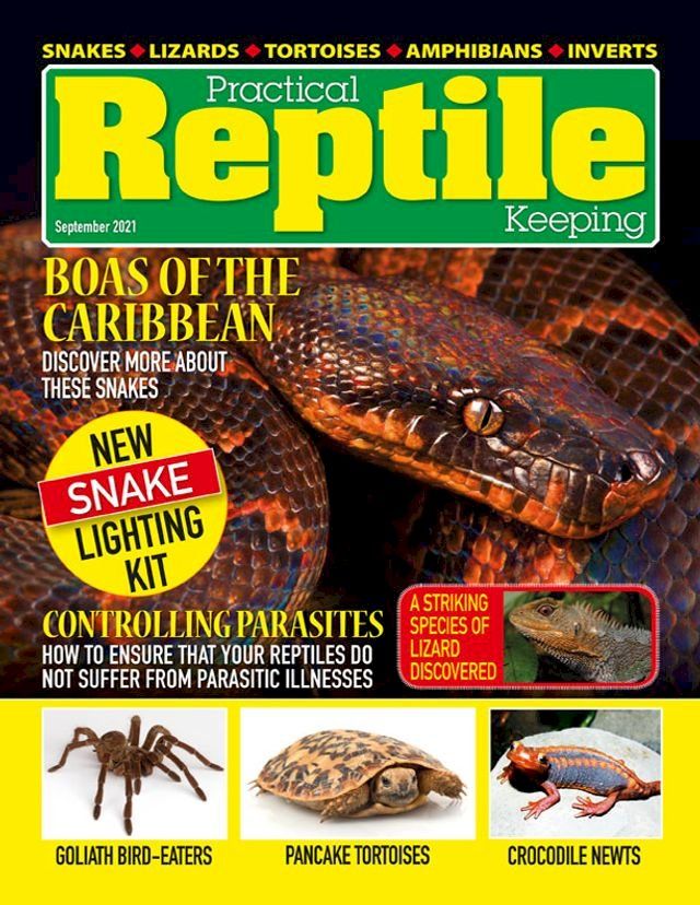  Practical Reptile Keeping - September 2021(Kobo/電子書)