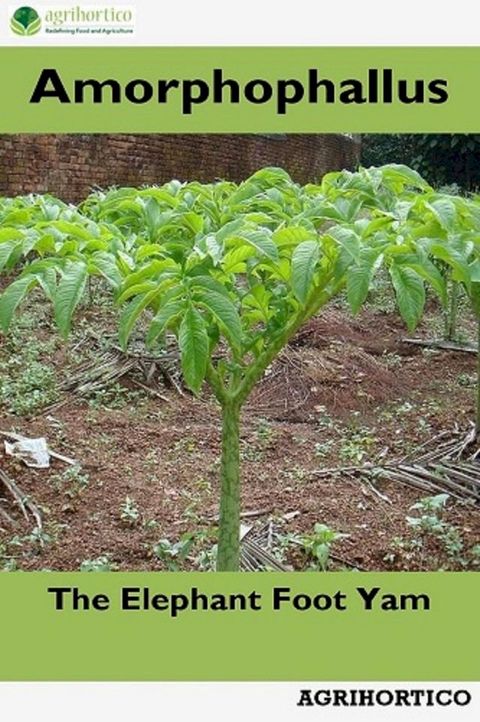 Amorphophallus: The Elephant Foot Yam(Kobo/電子書)