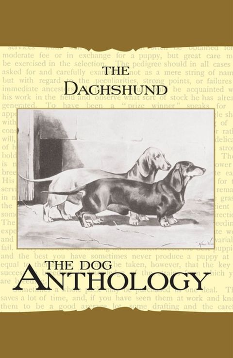 The Daschund - A Dog Anthology (A Vintage Dog Books Breed Classic)(Kobo/電子書)