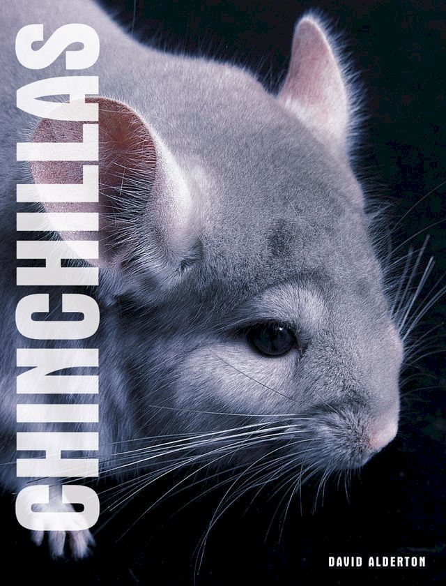  Your Chinchilla(Kobo/電子書)