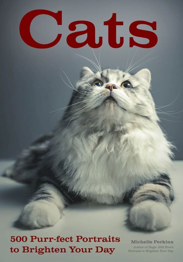  Cats(Kobo/電子書)