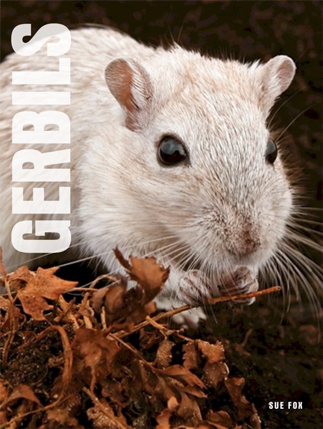  Your Gerbil(Kobo/電子書)