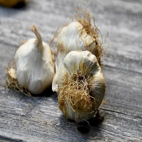 HOW TO MAKE GARLIC POWDER(Kobo/電子書)