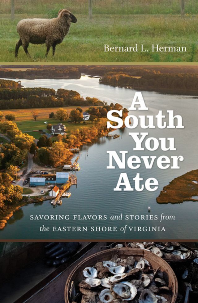  A South You Never Ate(Kobo/電子書)